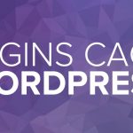 plugins cache wordpress